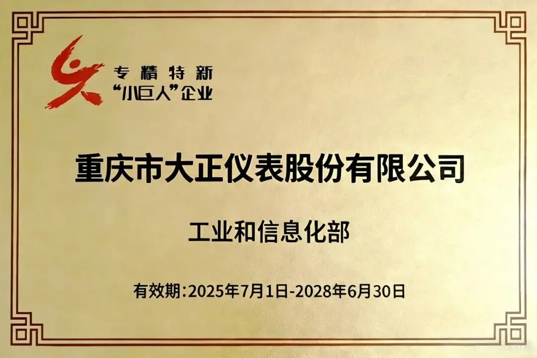Компания АО Чунцин Дачжэн Приборы была признана специализированным и (2)